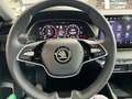 Skoda Octavia 2.0 Selection DPF EU6e Combi Ultimate Schwarz  110 Schwarz - thumbnail 12