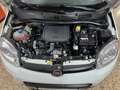 Fiat Panda 1.0 Gse Hybrid Blanco - thumbnail 11