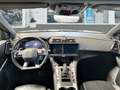 DS Automobiles Sonstige Business Line Braun - thumbnail 12