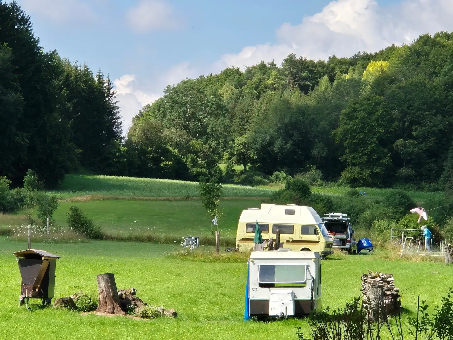 Volkswagen LT LT 28 Sven Hedin Beige - 2