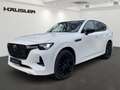 Mazda CX-60 Homura D-254 AWD mit AHK, Schiebedach, Leder, Bose Weiß - thumbnail 1