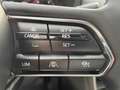 Mazda CX-60 Homura D-254 AWD mit AHK, Schiebedach, Leder, Bose Weiß - thumbnail 17