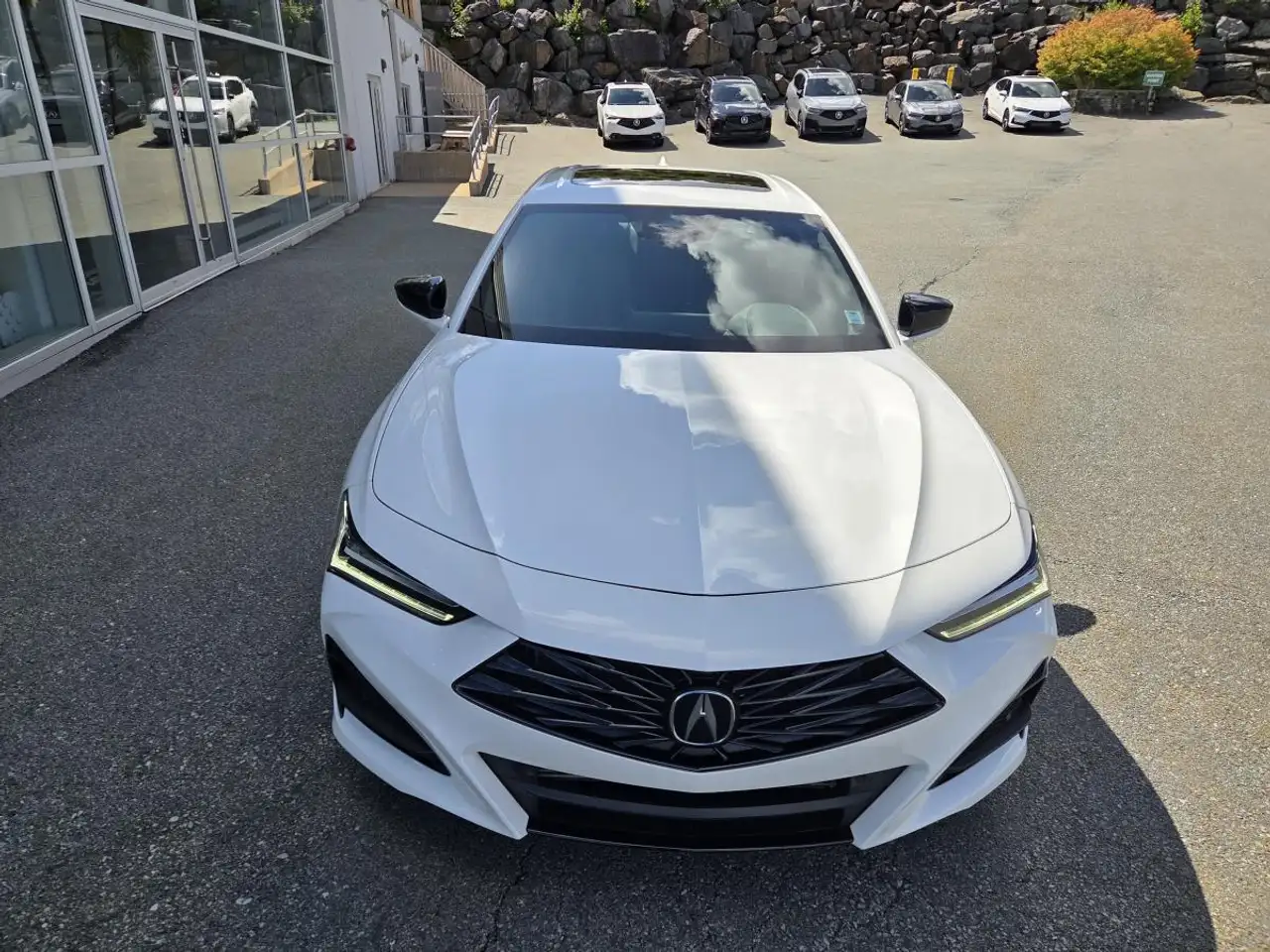Acura TLX снимка Acura TLX
