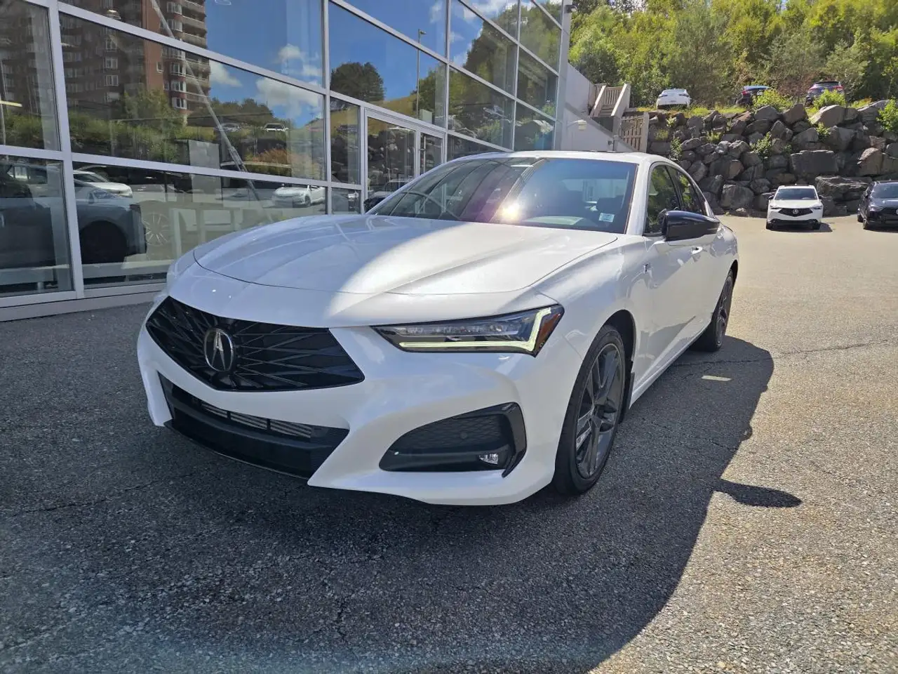 2025 Acura TLX