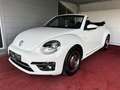 Volkswagen Beetle Comfortline Cabrio/BI-Xenon/NAVI/GARANTIE Weiß - thumbnail 23