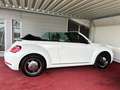 Volkswagen Beetle Comfortline Cabrio/BI-Xenon/NAVI/GARANTIE Weiß - thumbnail 17