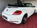 Volkswagen Beetle Comfortline Cabrio/BI-Xenon/NAVI/GARANTIE Weiß - thumbnail 15