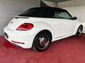 Volkswagen Beetle Comfortline Cabrio/BI-Xenon/NAVI/GARANTIE Weiß - thumbnail 6