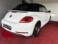 Volkswagen Beetle Comfortline Cabrio/BI-Xenon/NAVI/GARANTIE Weiß - thumbnail 5