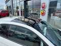 Fiat 500e Icon +Sitzheizung+Panoramadach_Fiat gepfleg Weiß - thumbnail 13