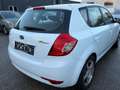 Kia Ceed / cee'd cee'd Weiß - thumbnail 4