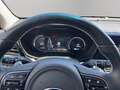 Kia e-Niro Niro EV 64kWh long Range Gold Aut. Schwarz - thumbnail 10