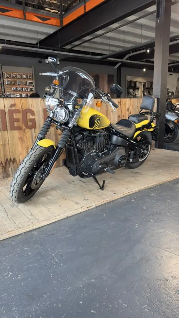 Harley-Davidson Street Bob 117 SOFTAIL Geel - 1