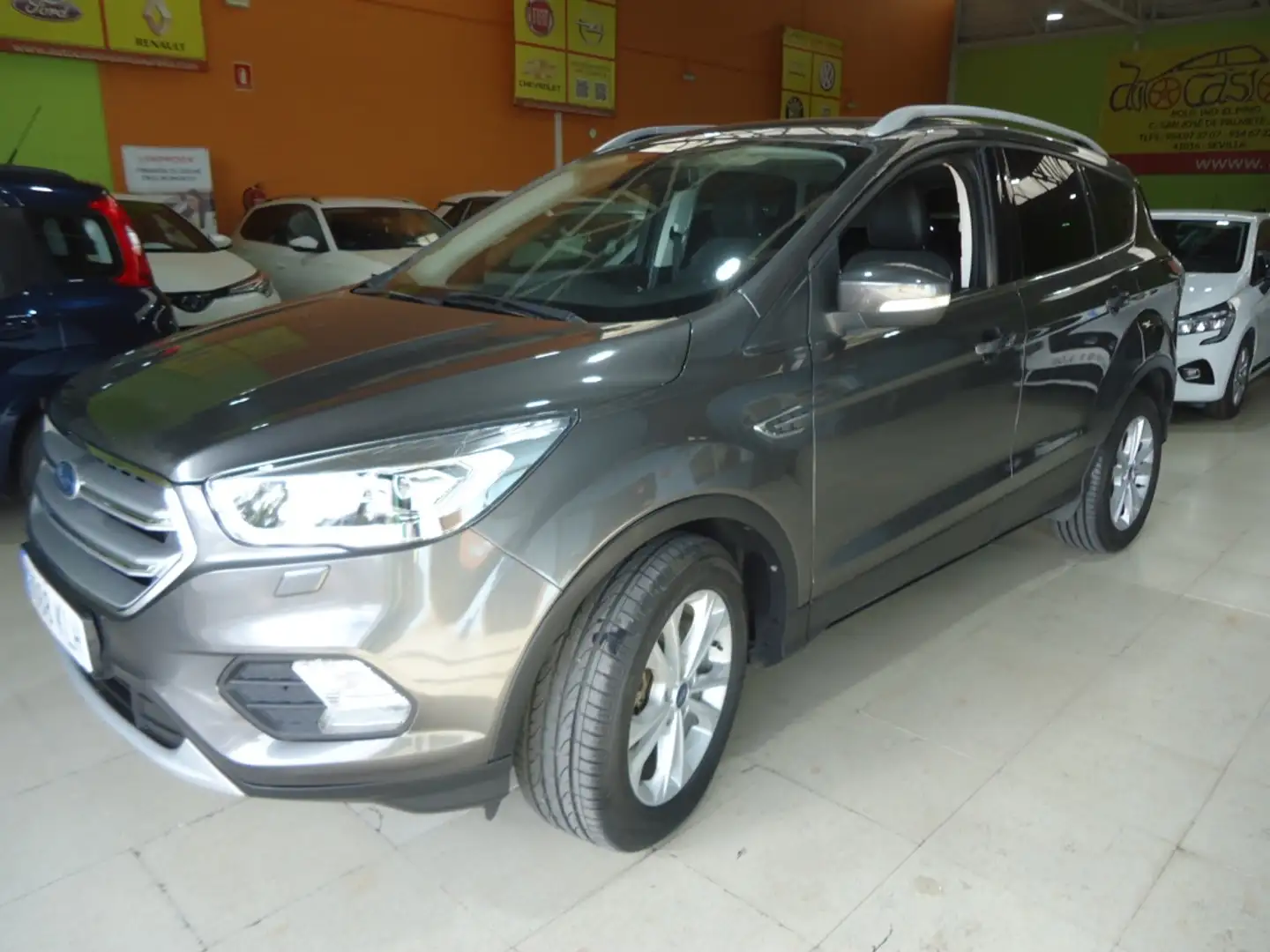 Ford Kuga 2.0TDCi Auto S&S Titanium 4x2 150 Gris - 2