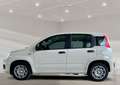 Fiat Panda 1.0 GSE Hybrid*DAB*City-Paket*PDC Weiß - thumbnail 3