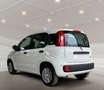 Fiat Panda 1.0 GSE Hybrid*DAB*City-Paket*PDC Weiß - thumbnail 4