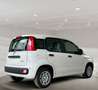 Fiat Panda 1.0 GSE Hybrid*DAB*City-Paket*PDC Weiß - thumbnail 5