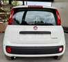 Fiat Panda 1.0 GSE Hybrid*DAB*City-Paket*PDC Weiß - thumbnail 6