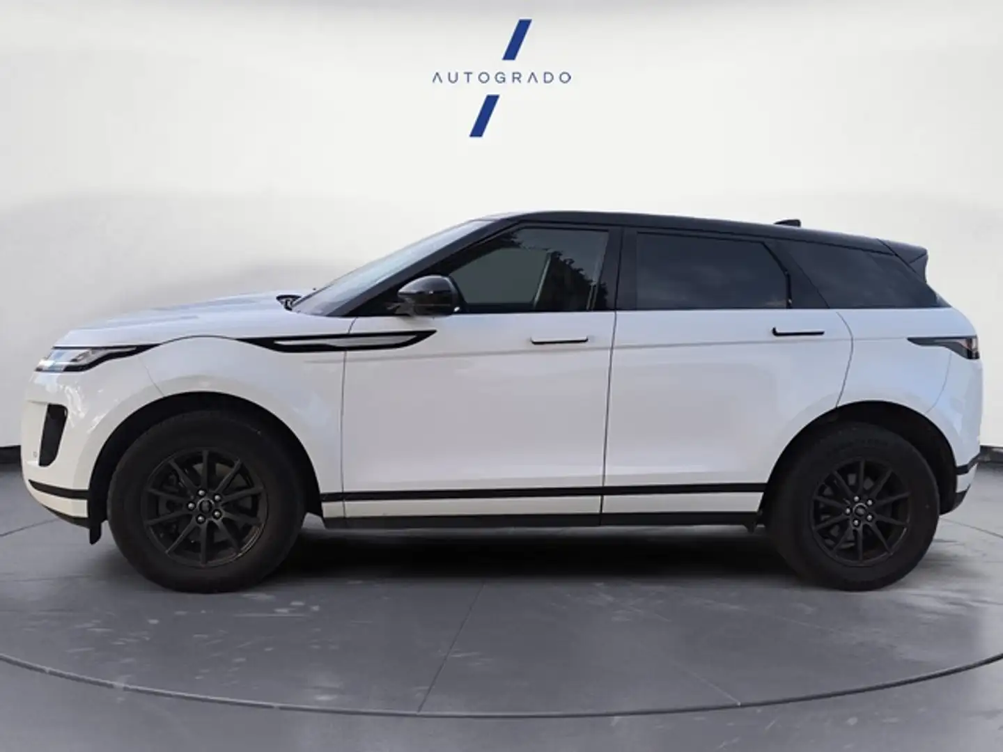 Land Rover Range Rover Evoque 2.0D Standard FWD 150 Blanc - 2