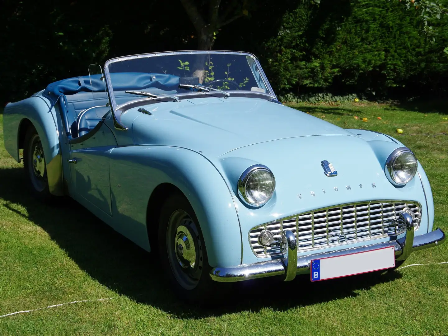 Triumph TR3 A Синій - 2