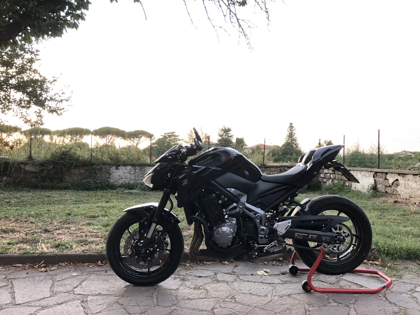 Kawasaki Z 900 Standard - 2