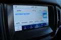 Ford Ranger Ranger Raptor 2.0 EcoBlue Doppelkabine 4x4 AHK Grau - thumbnail 30