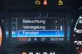 Ford Ranger Ranger Raptor 2.0 EcoBlue Doppelkabine 4x4 AHK Grau - thumbnail 44