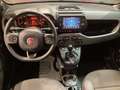 Fiat Panda Panda 1.0 FireFly S&S Hybrid sport Rosso - thumbnail 9