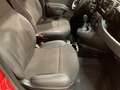Fiat Panda Panda 1.0 FireFly S&S Hybrid sport Rosso - thumbnail 11