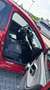 Toyota Yaris Hybrid Team Deutschland Rot - thumbnail 9