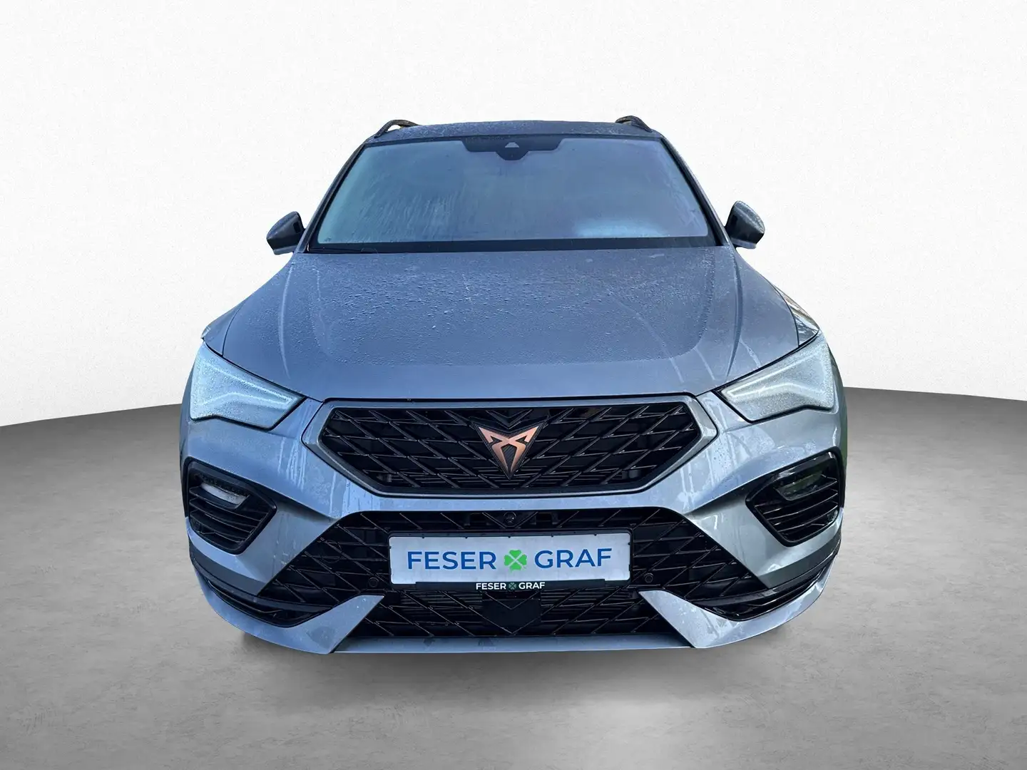 CUPRA Ateca 2.0 TSI 4Drive|AHK|TopView|Full Link Grau - 2