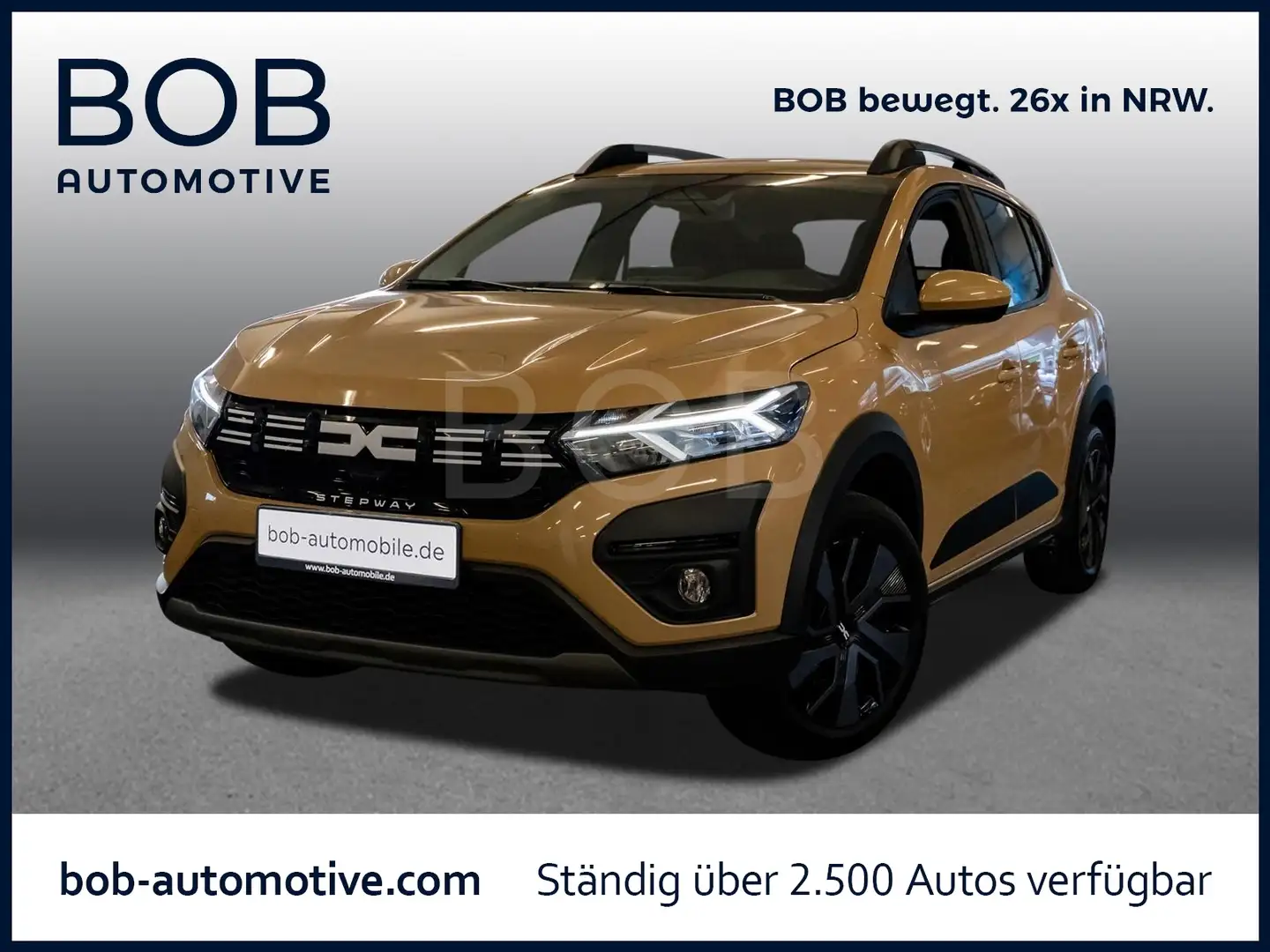 dacia stepway