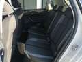 Volkswagen Polo Style 1.0 TSI / IQ.DRIVE, Matrix, RFK, SHZ Grau - thumbnail 16