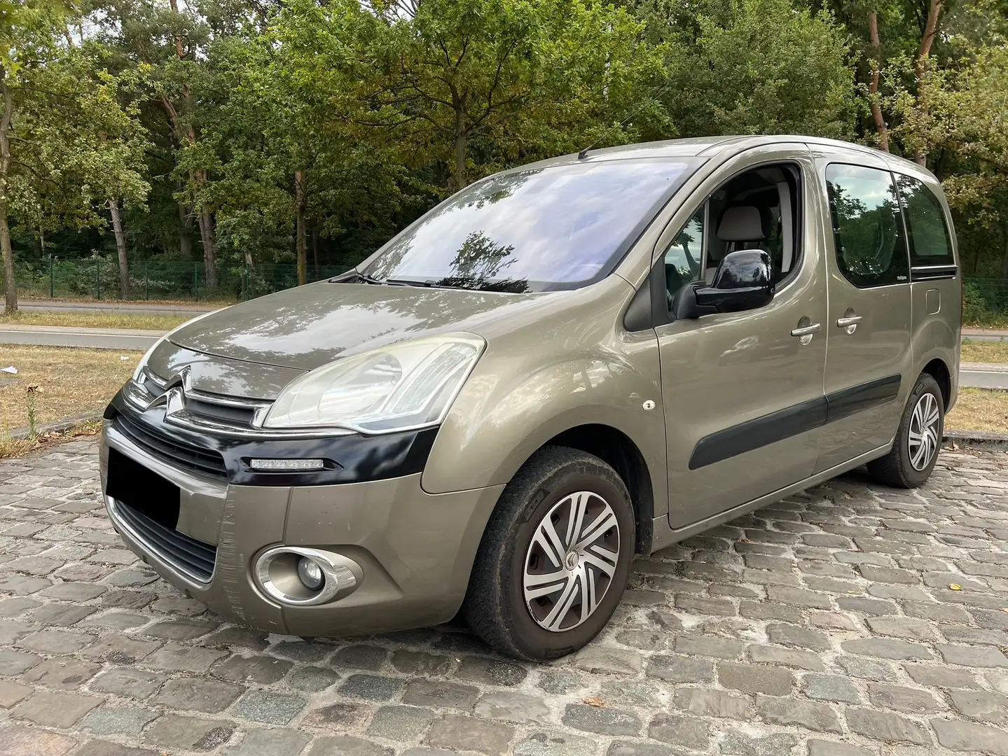Citroen Berlingo Berlingo Multispace HDi 90 FAP Selection Brązowy - 1