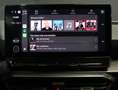 CUPRA Leon 1.5 eTSI 110 DSG Rojo - thumbnail 25