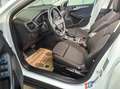 Ford Focus 1,5 EcoBlue Aut. Titanium, AHK, LED, Navi Weiß - thumbnail 7