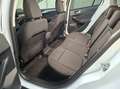 Ford Focus 1,5 EcoBlue Aut. Titanium, AHK, LED, Navi Weiß - thumbnail 10