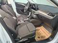 Ford Focus 1,5 EcoBlue Aut. Titanium, AHK, LED, Navi Weiß - thumbnail 9