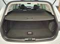 Ford Focus 1,5 EcoBlue Aut. Titanium, AHK, LED, Navi Weiß - thumbnail 12