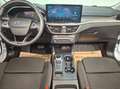 Ford Focus 1,5 EcoBlue Aut. Titanium, AHK, LED, Navi Weiß - thumbnail 8