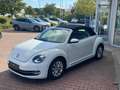 Volkswagen Beetle Cabriolet Design Weiß - thumbnail 4