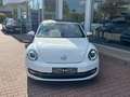 Volkswagen Beetle Cabriolet Design Weiß - thumbnail 6