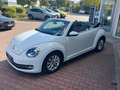 Volkswagen Beetle Cabriolet Design Weiß - thumbnail 8