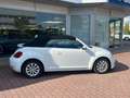 Volkswagen Beetle Cabriolet Design Weiß - thumbnail 3