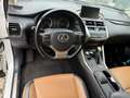 Lexus NX 200t NX 200 Weiß - thumbnail 9