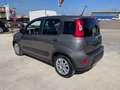 Fiat Panda Panda 1.0 FireFly S&S Hybrid City Life Grigio - thumbnail 4