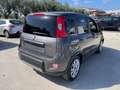 Fiat Panda Panda 1.0 FireFly S&S Hybrid City Life Grigio - thumbnail 3