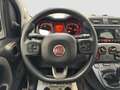 Fiat Panda 1.0 FireFly S&S Hybrid*PROMO* Weiß - thumbnail 12