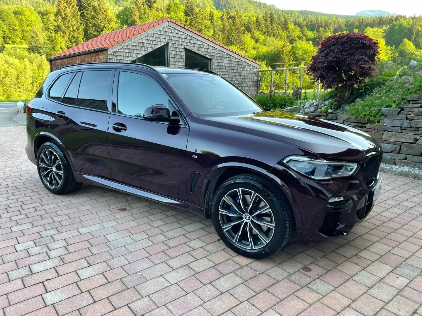 BMW X5 X5 xDrive30d 48V Aut. crvena - 1