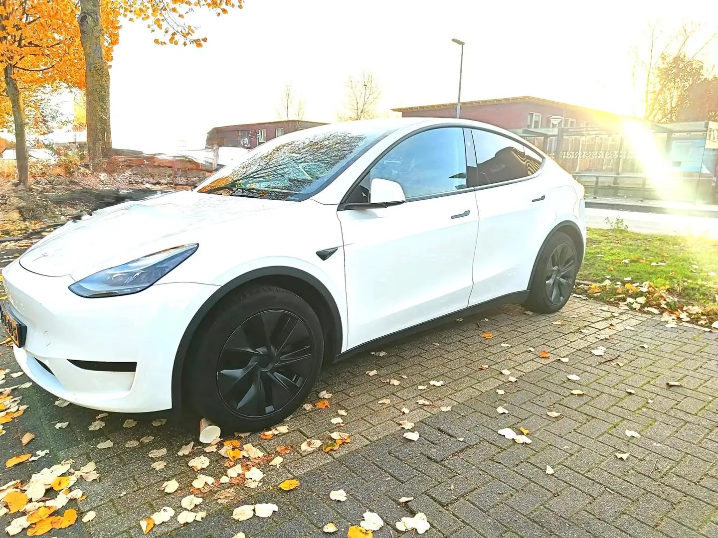 Tesla Model Y Model Y RWD 58 kWh - 2